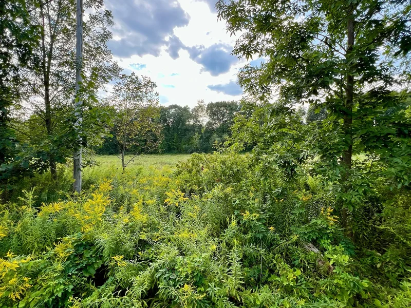 1435 W River Road , Northumberland, NY 12831, Gansevoort, New York, United States. - Photo 3