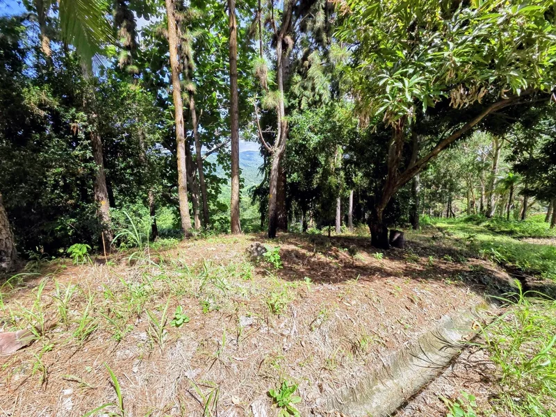 Land for sale in Sorá Chame