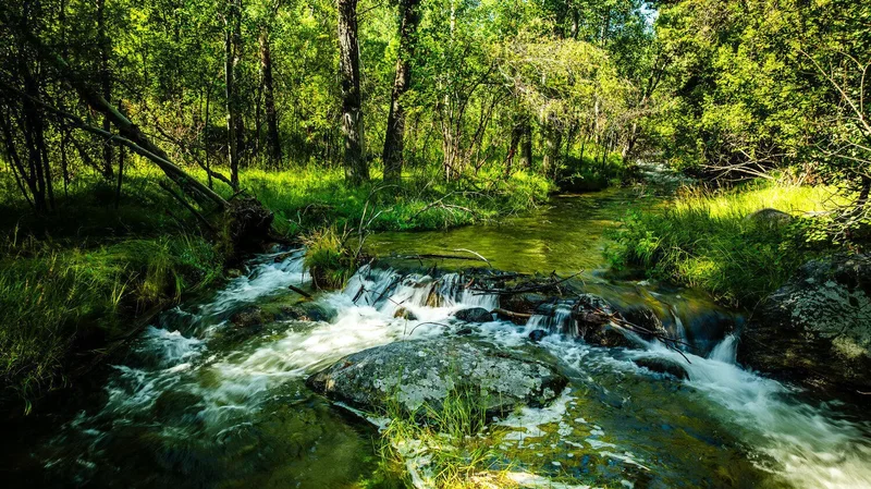 26 Fawn Trail, Banner, Wyoming, United States. - Photo 28