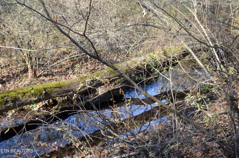 Sparta Hwy 63.3 Acres, Crossville, TN 38555, Crossville, Tennessee, United States. - Photo 12