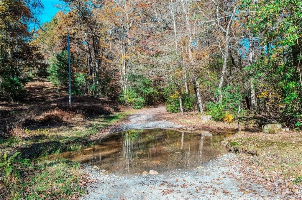 339 Wehunt Road, Blue Ridge, Georgia, United States. - Photo 62