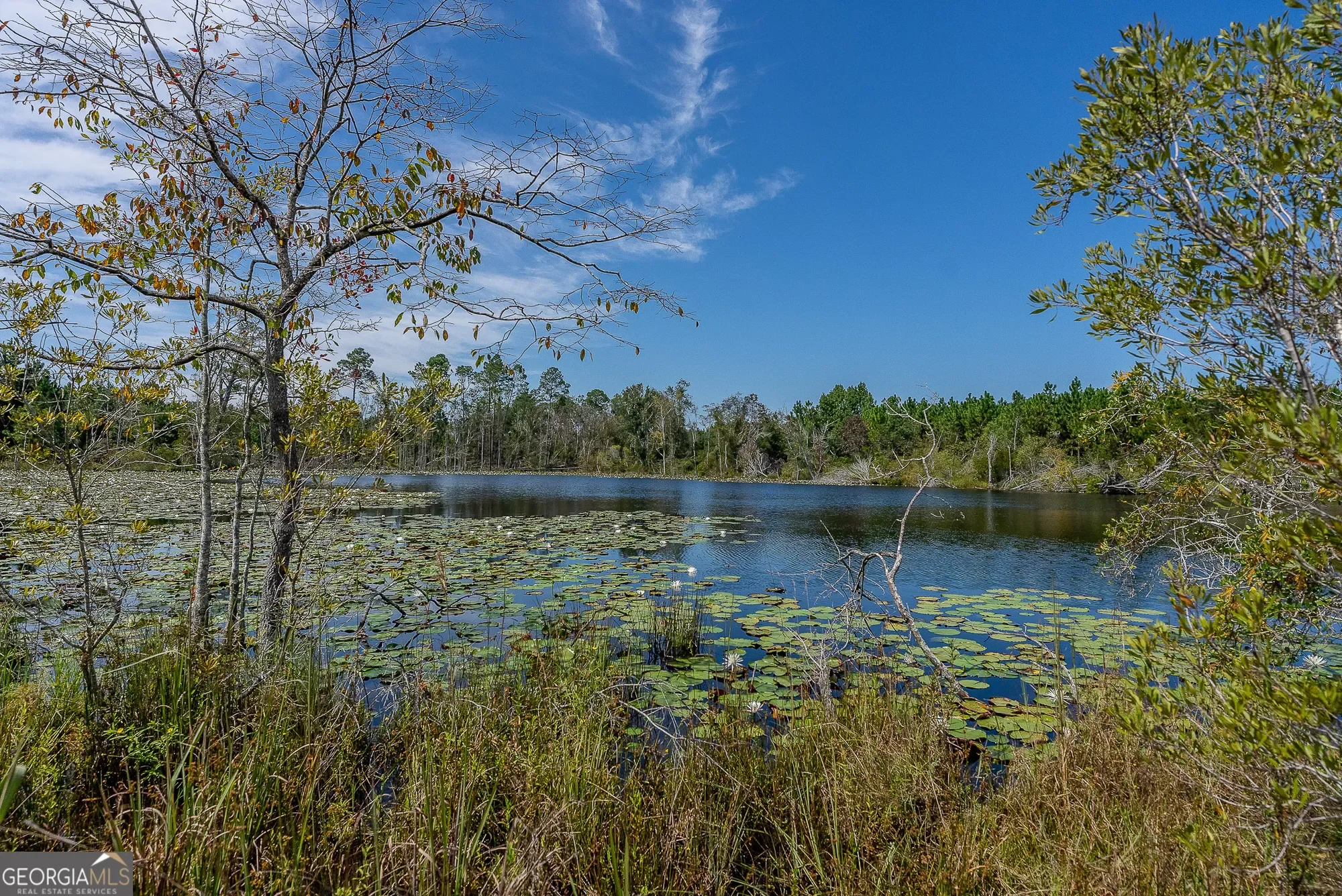 0 Rhonda Coleman, Hazlehurst, GA 31539, Hazlehurst, Georgia, United States. - Photo 12