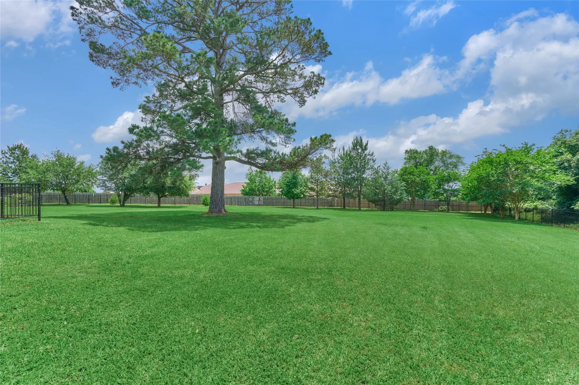 19089 Grandview Point, Montgomery, TX 77356, Montgomery, Texas, United States. - Photo 37