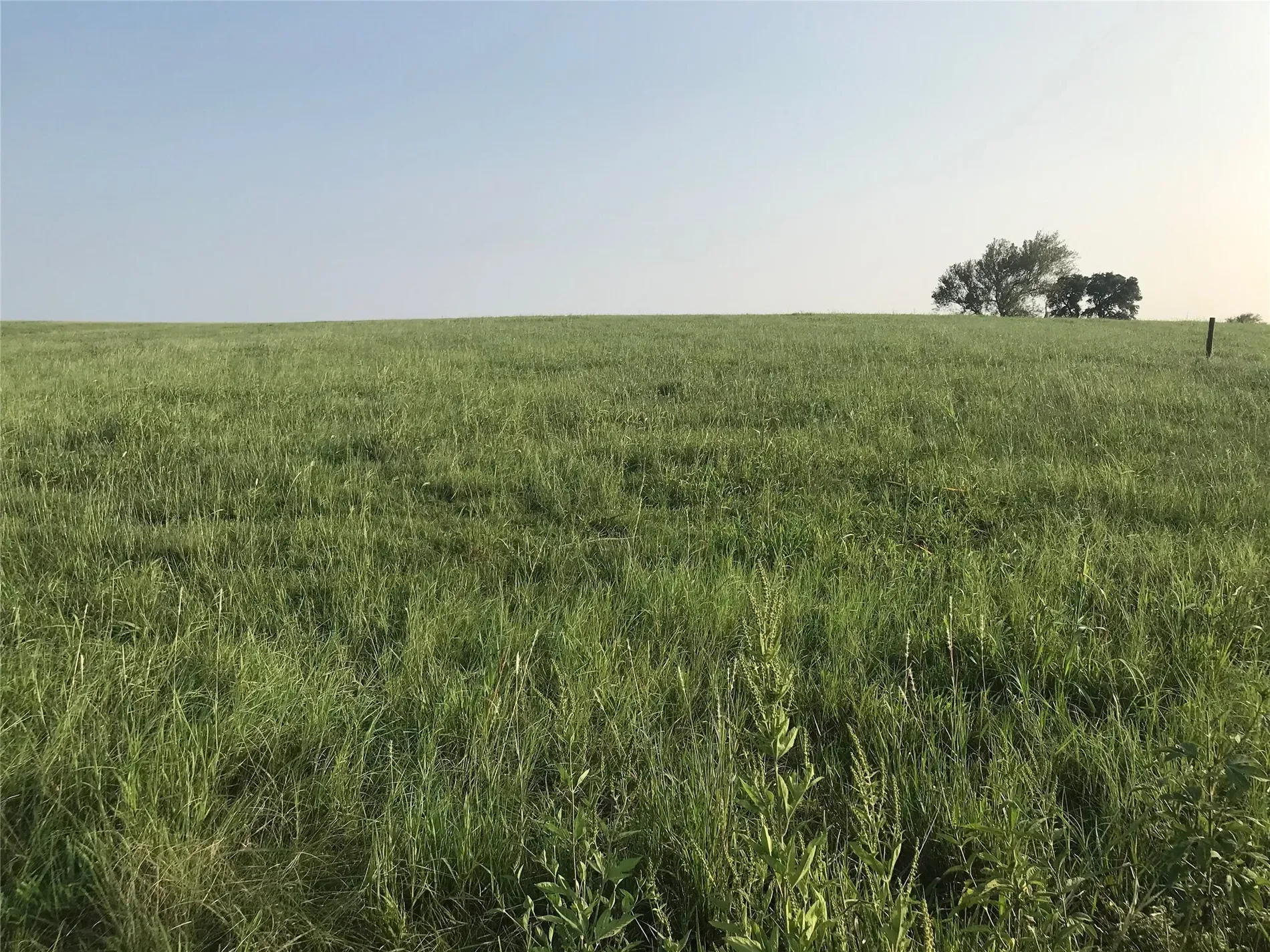 13041 Seydler Rd, Weimar, TX 78962, Weimar, Texas, United States. - Photo 6