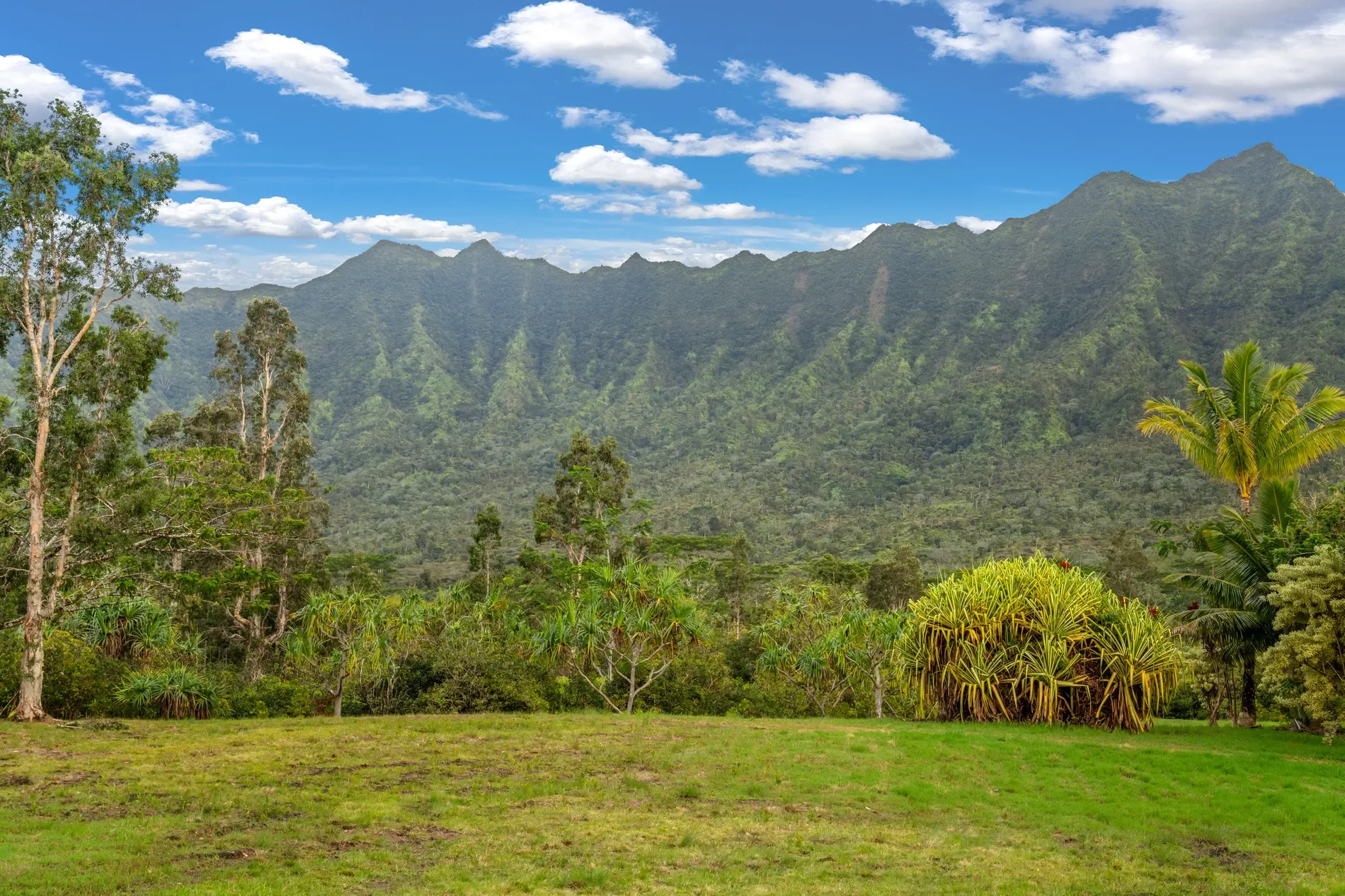2818 KAMOOKOA RD, #5, Kilauea, HI, 96722, USA, Kilauea, Hawaii, United States. - Photo 18