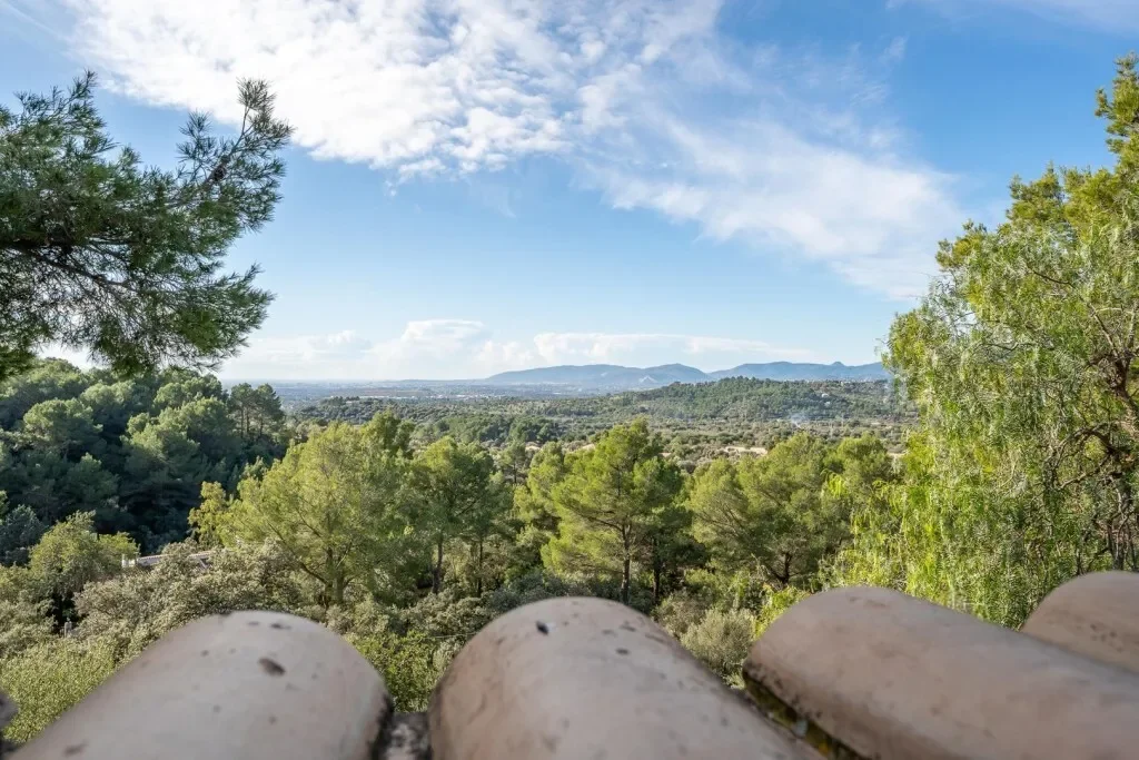 Baleares, Bunyola, Balearic Islands, Spain. - Photo 4