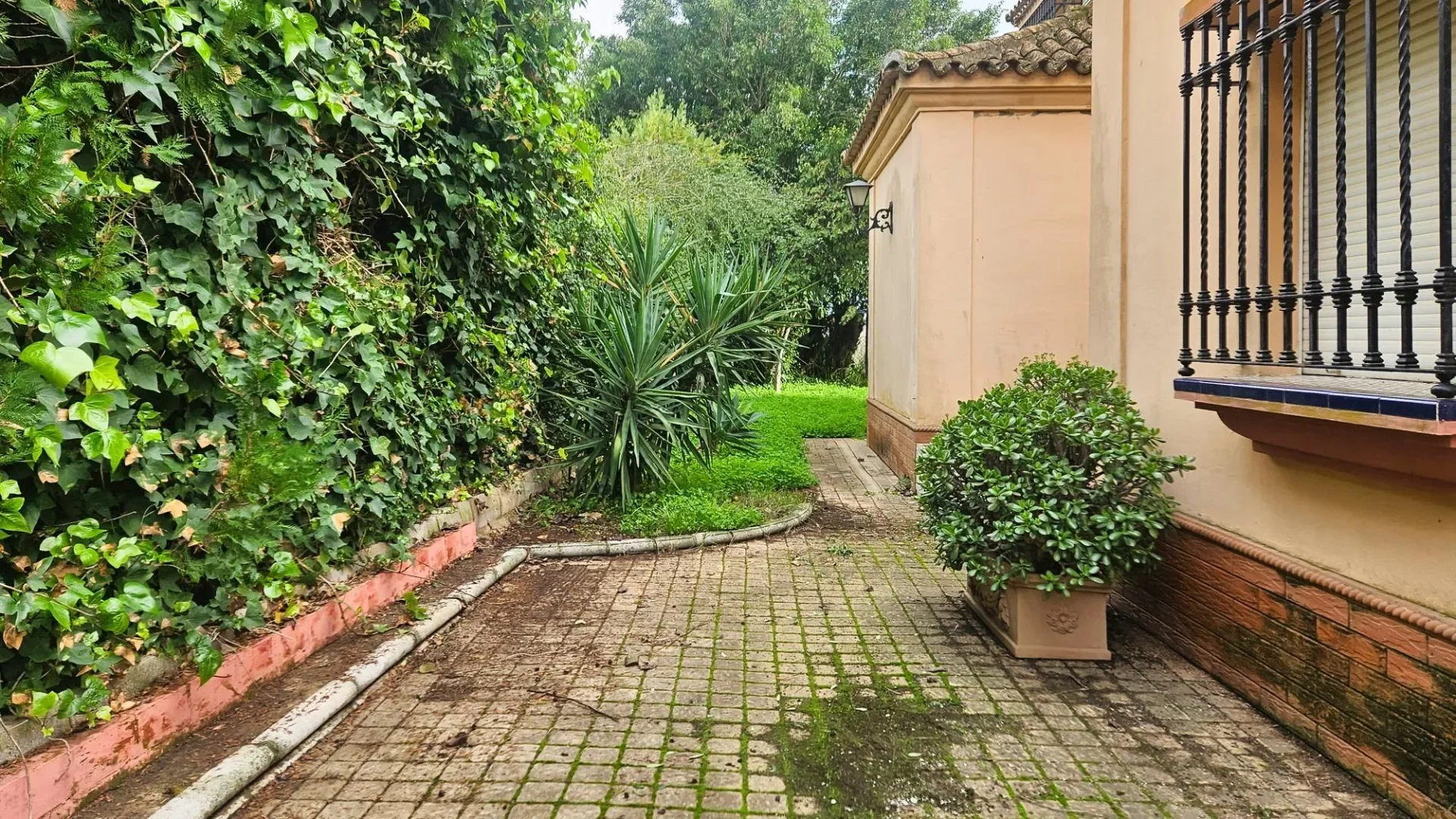 Exterior photo 9