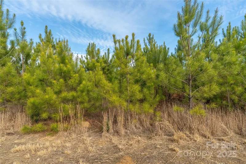 0000 Quarter Round Road #9, Pacolet, SC 29372, Pacolet, South Carolina, United States. - Photo 39