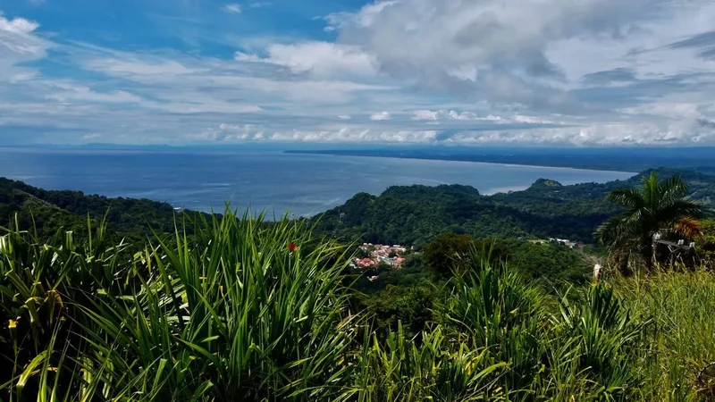 Altos de Caletas, Playa Herradura, Puntarenas Province, Costa Rica. - Photo 10