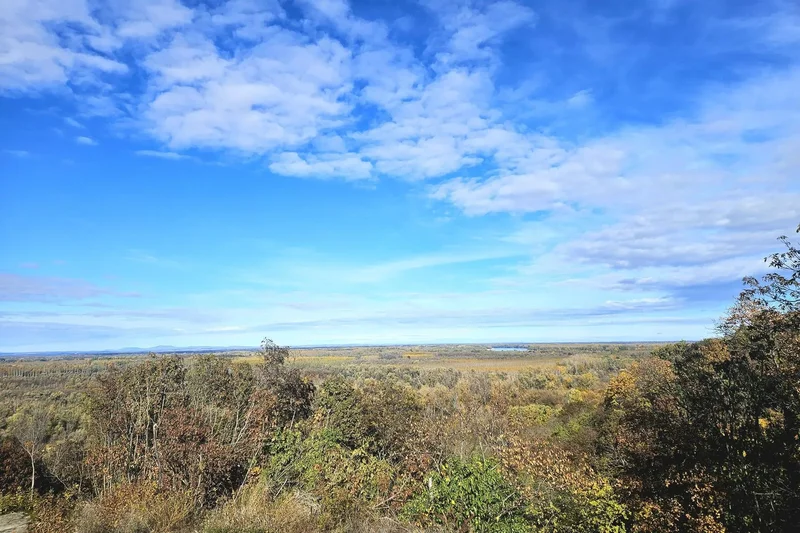 Batina, Osijek-Baranja, Batina, Osijek-Baranja County, Croatia. - Photo 27