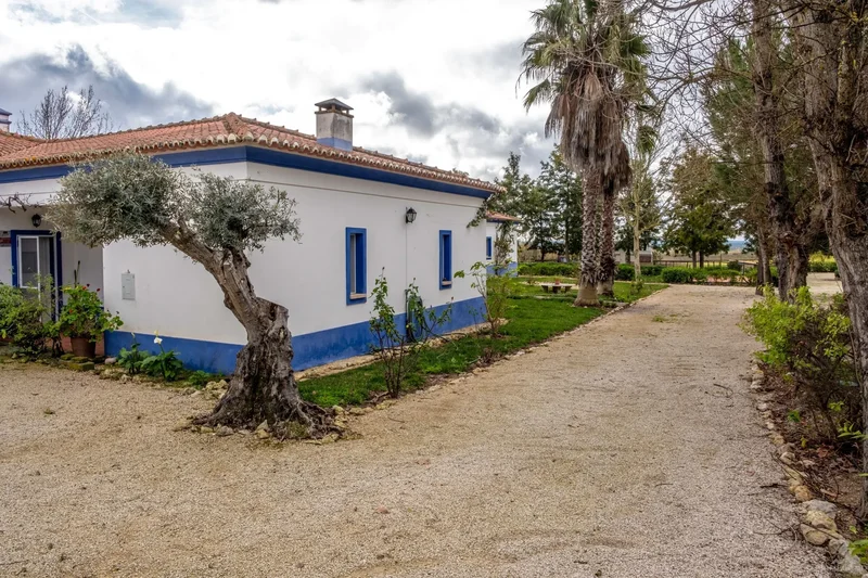 Beja, Selmes, Beja District, Portugal. - Photo 38
