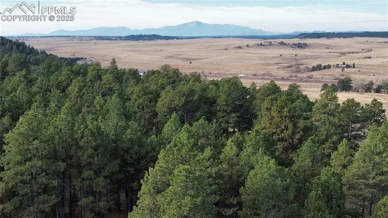 19921 N Elbert Road, Peyton, CO 80831, Peyton, Colorado, United States. - Photo 2