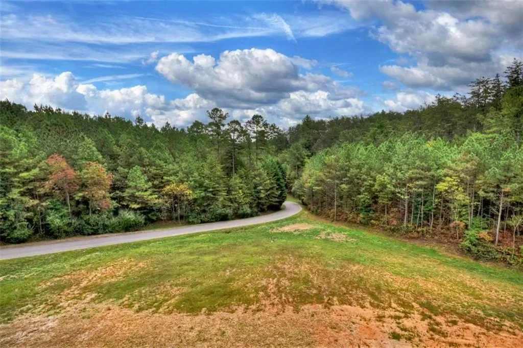 123 Ridgeline Drive, Turtletown, United States. - Photo 21