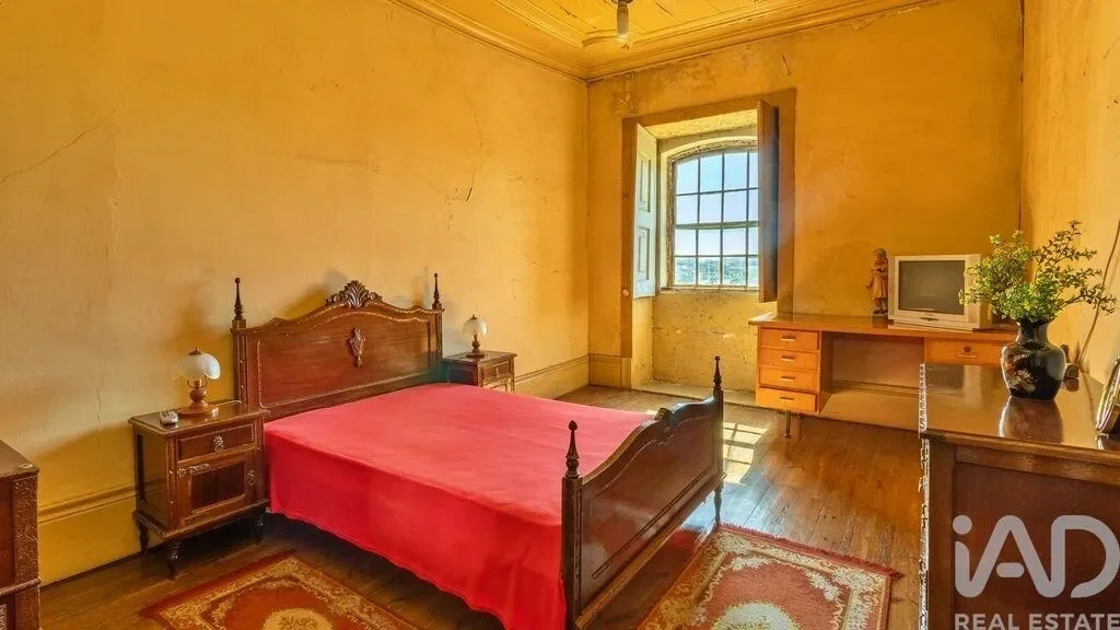 Gallery photo 4