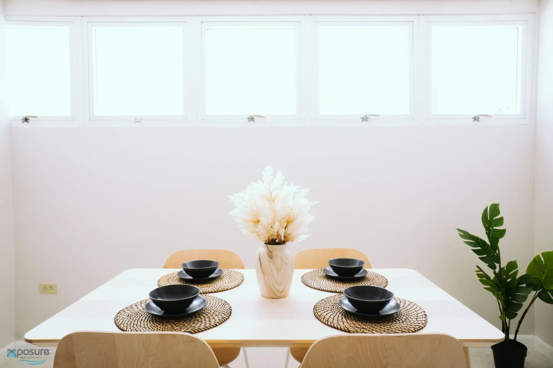 Gallery photo 11