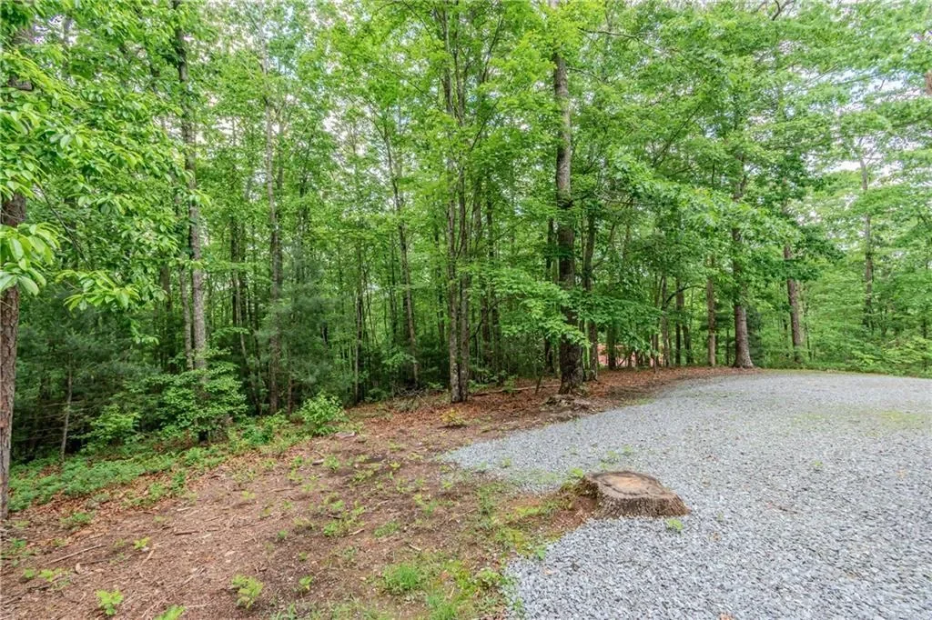 48 Timber Ridge Road, Blue Ridge, Georgia, United States. - Photo 49