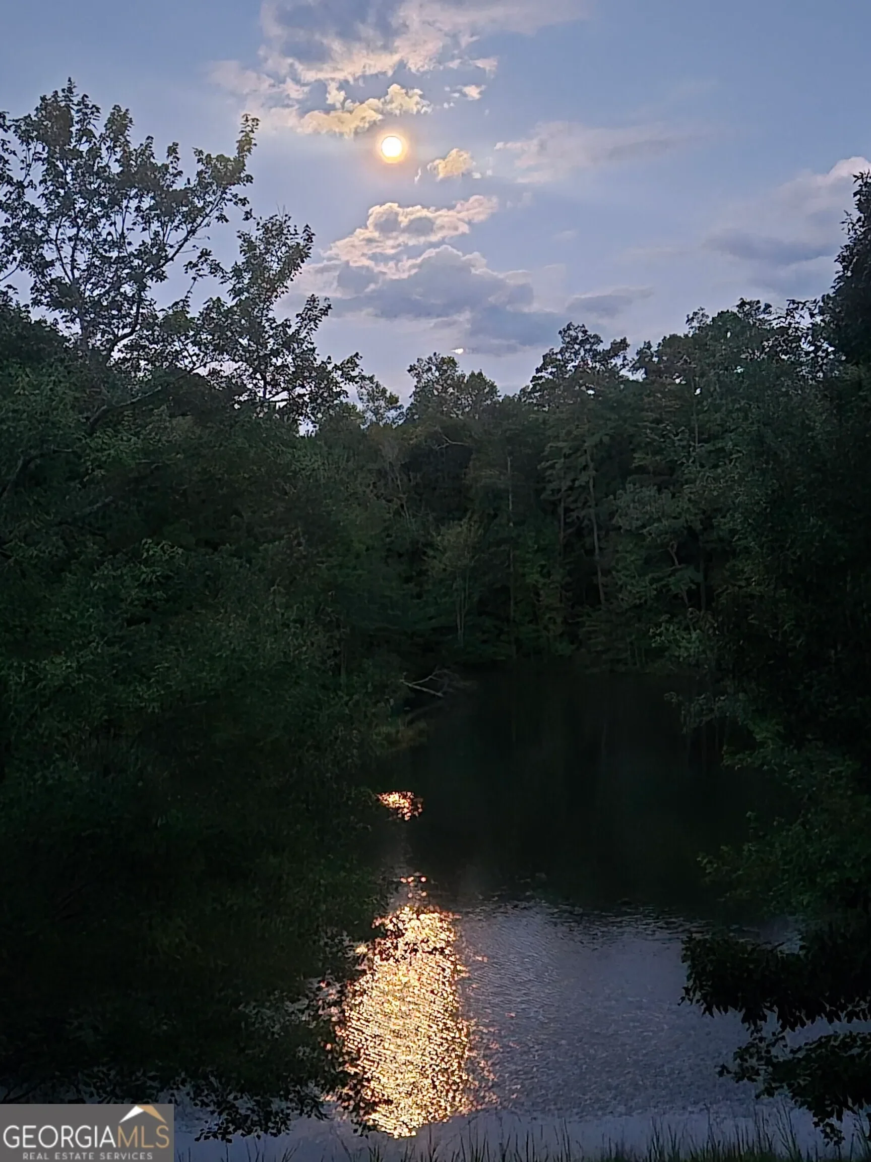 Chattahoochee Hills, Georgia, United States. - Photo 88