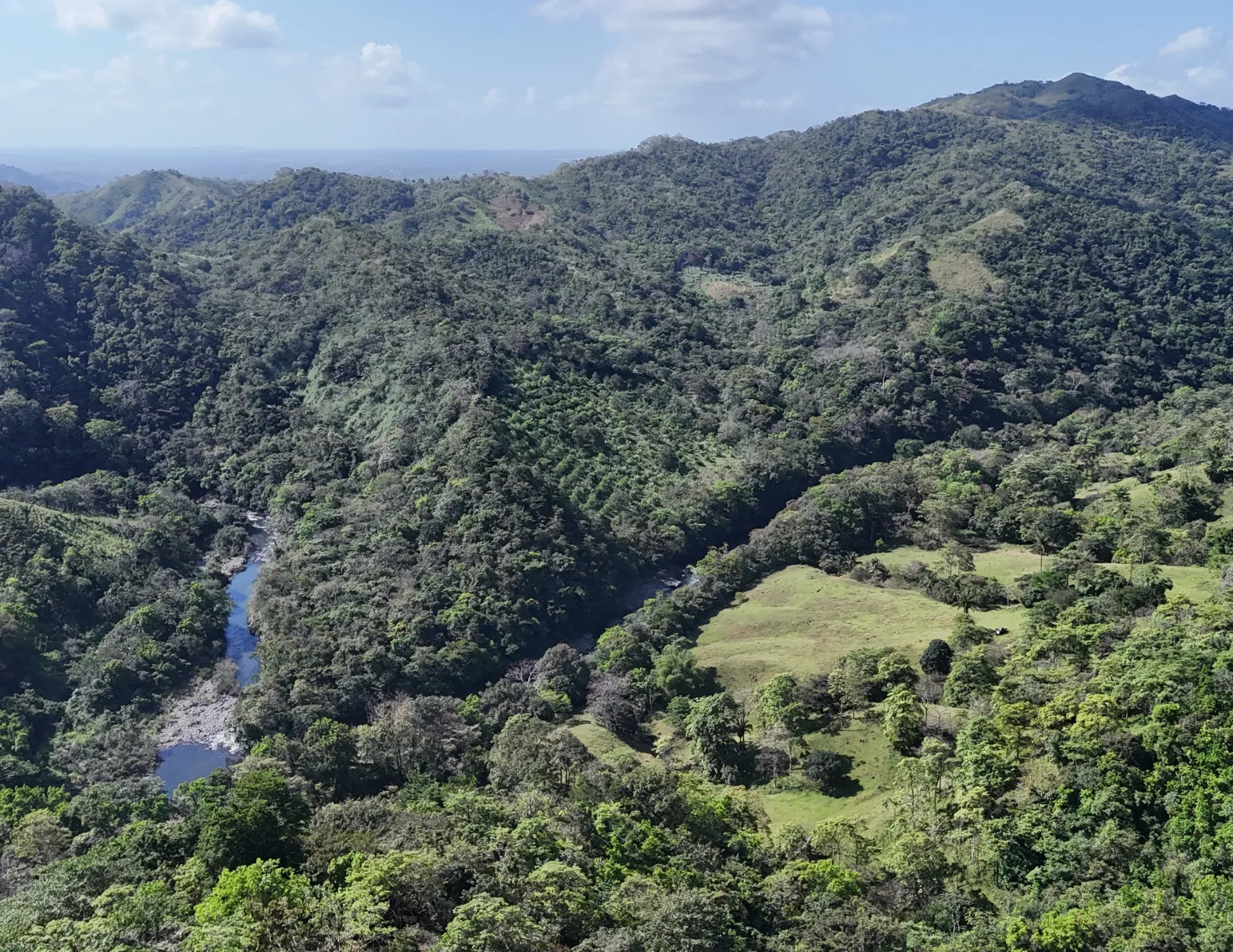 5WMC+69, Chepo, Panamá Province, Panama, Chepo, Panama, Panama. - Photo 8