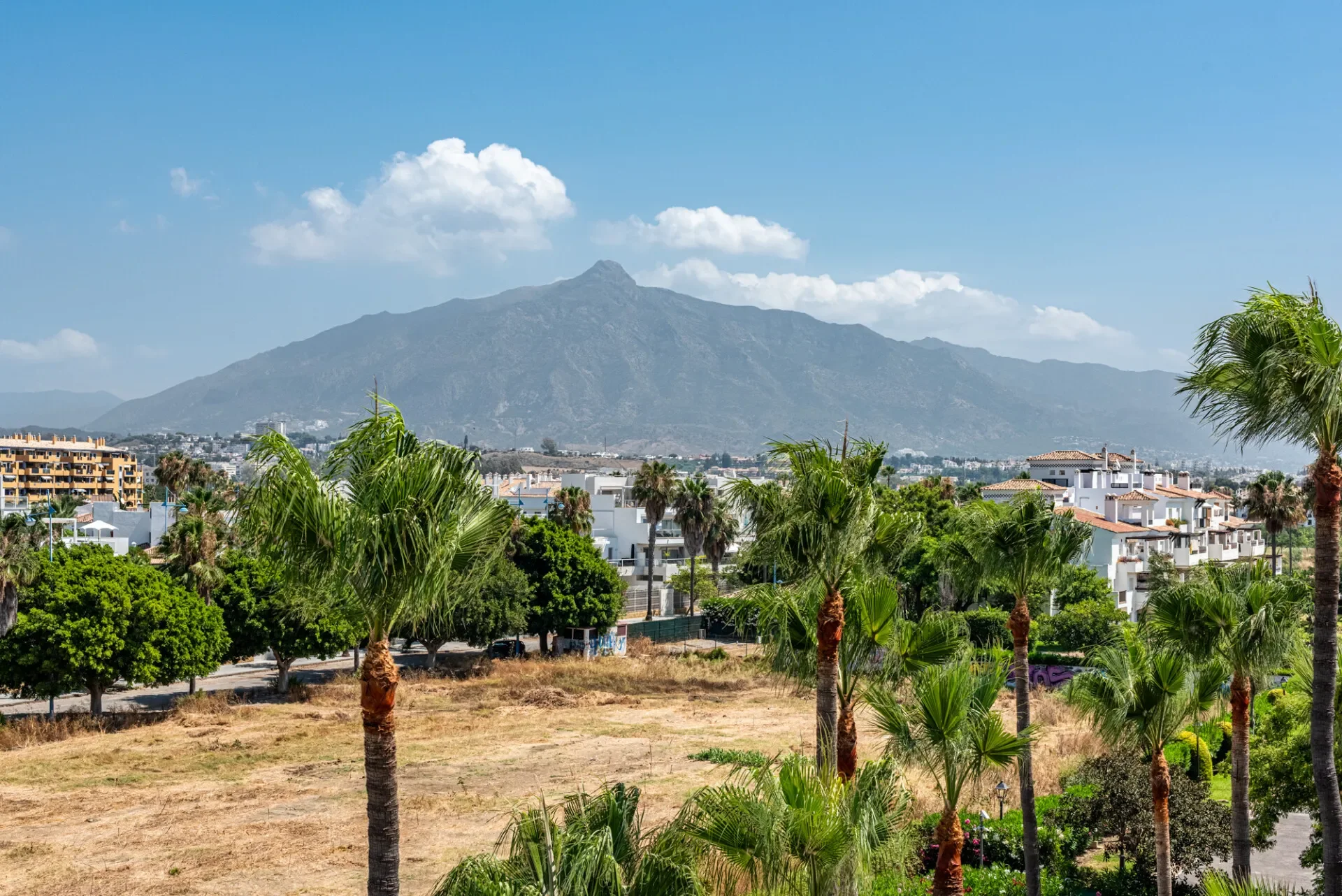 San Pedro de Alcántara, Málaga, San Pedro de Alcantara, Andalusia, Spain. - Photo 6