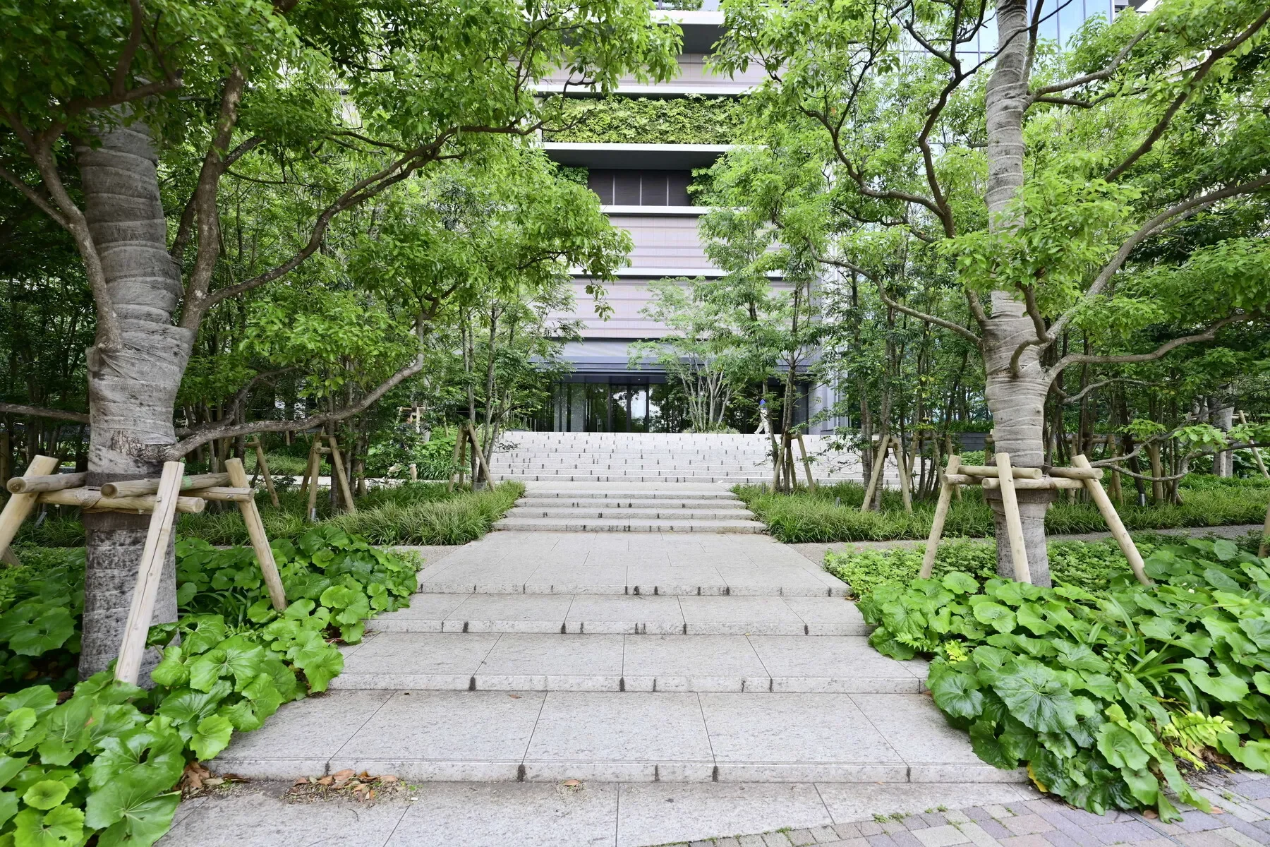 Gallery photo 6