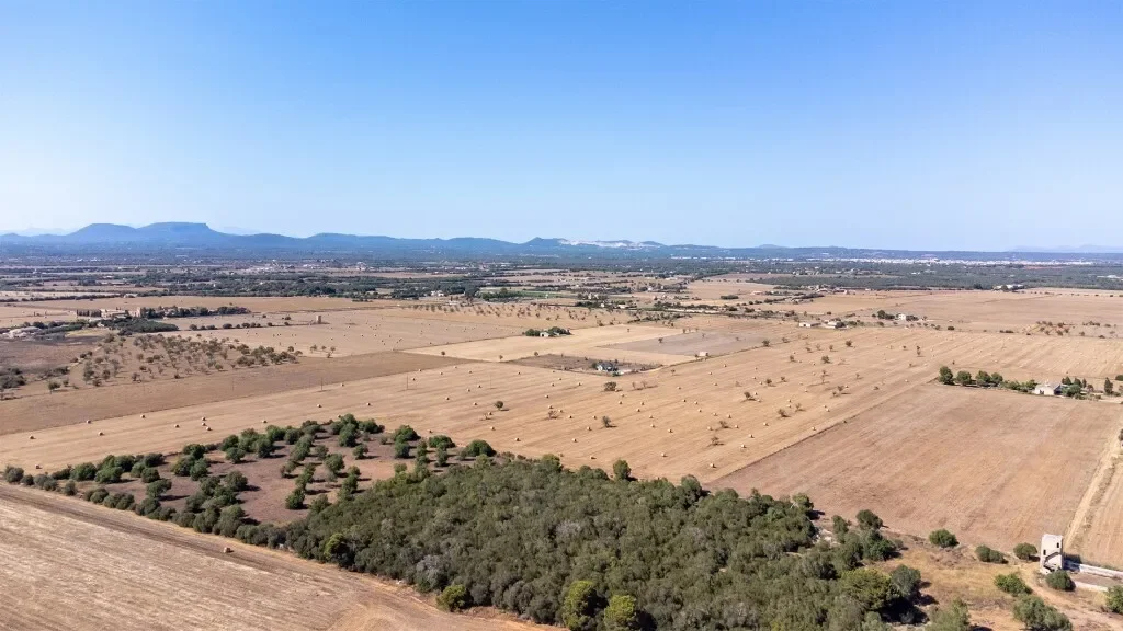 Traditional finca with impressive land for sale in Campos, Majorca