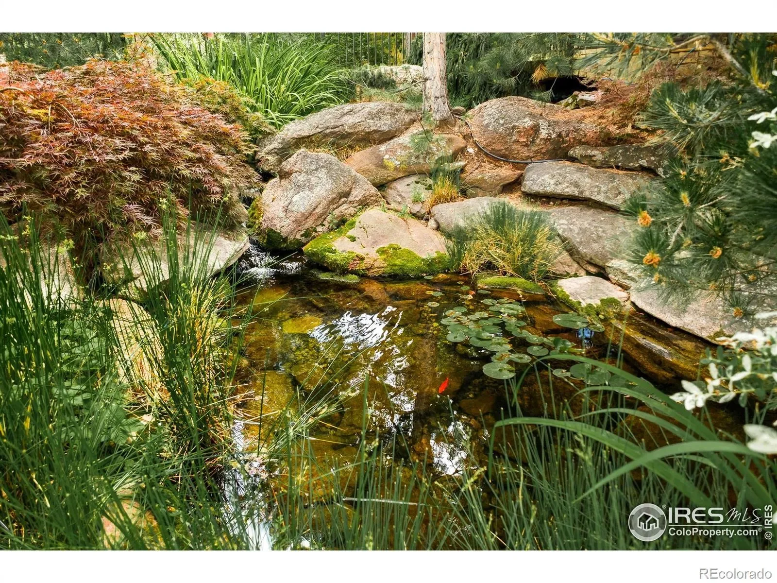 Gallery photo 7