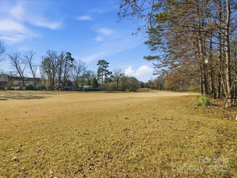9218 Deerpark Lane, Charlotte, NC 28277, Charlotte, North Carolina, United States. - Photo 47