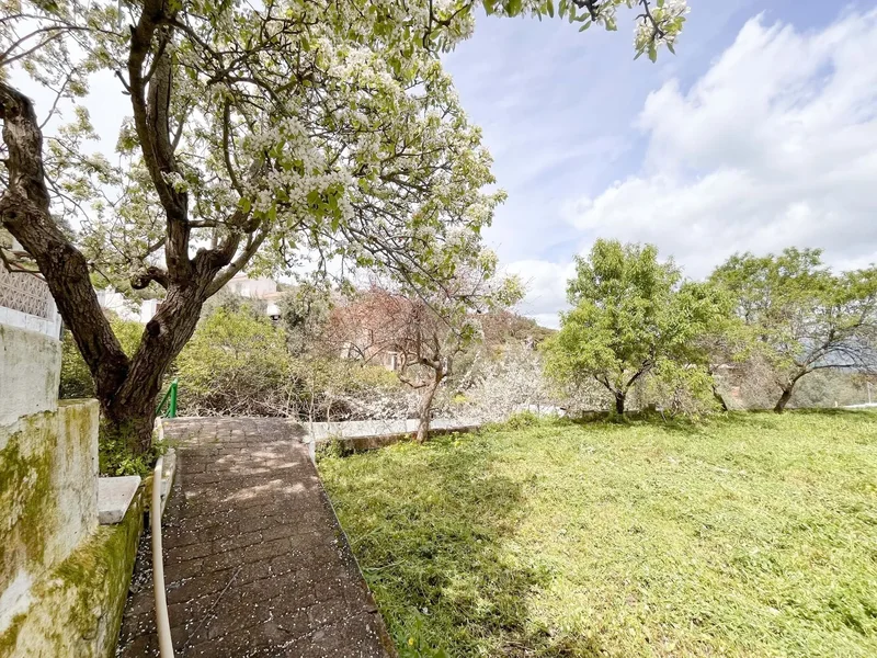 Andalusia, Casabermeja, Andalusia, Spain. - Photo 30