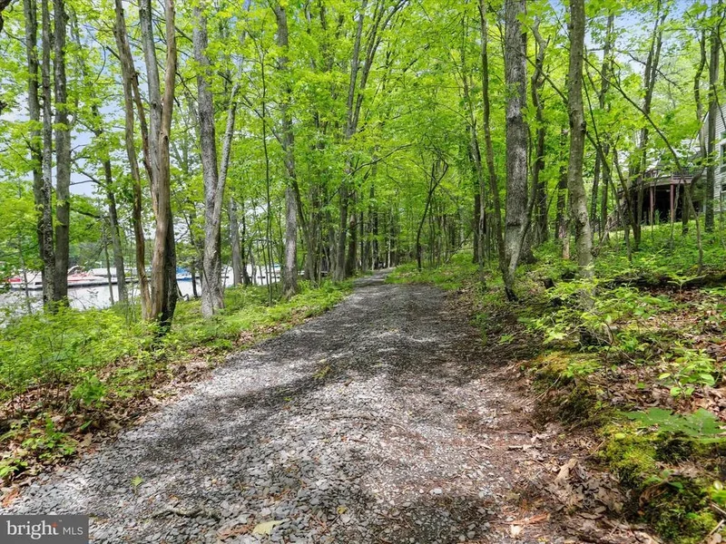 1240 BOY SCOUT RD ROAD, OAKLAND, MD 21550, McHenry, Maryland, United States. - Photo 139