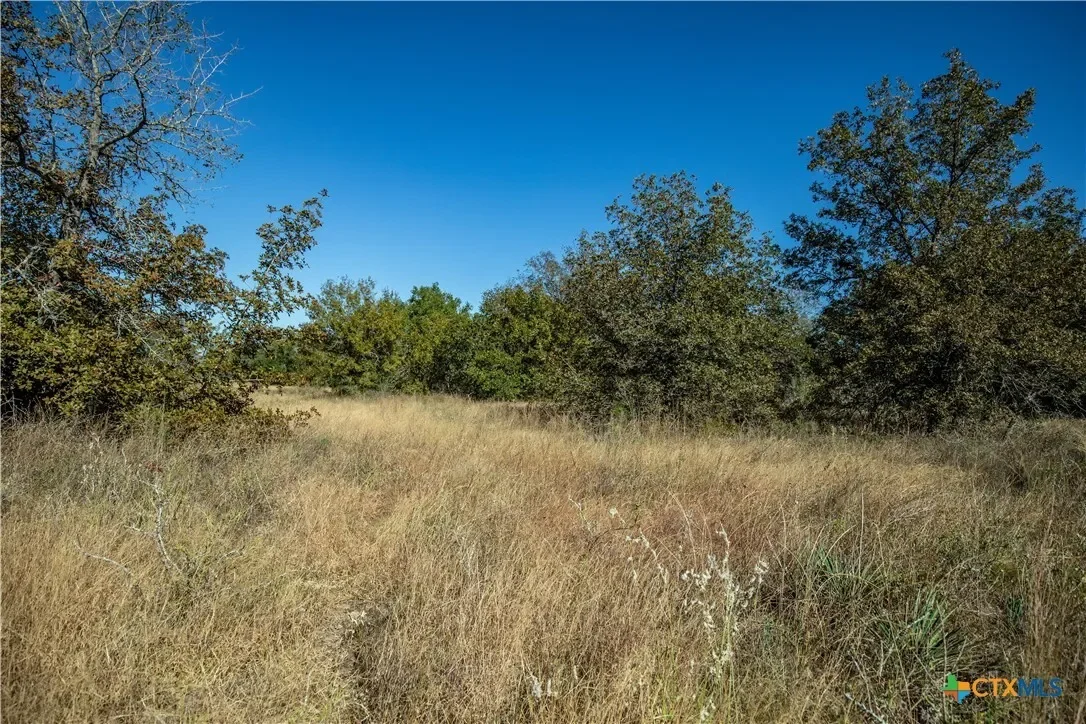 21123 Lamm Road, Elmendorf, TX 78112, Elmendorf, Texas, United States. - Photo 33
