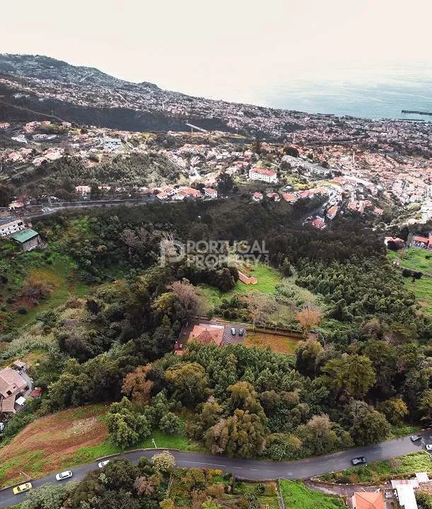 Funchal, Madeira, Funchal, Se, Madeira, Portugal. - Photo 20