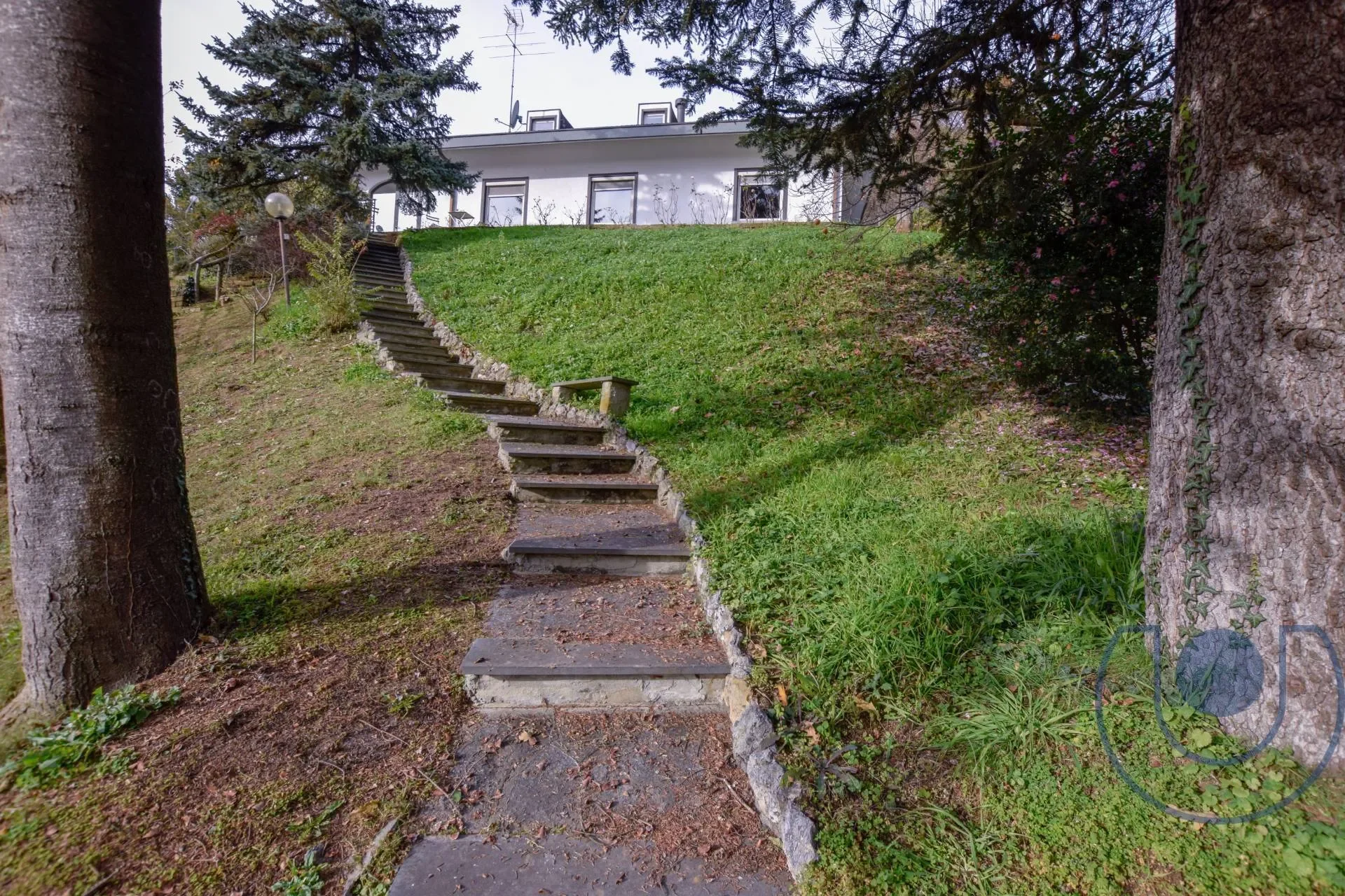 Gallery photo 6
