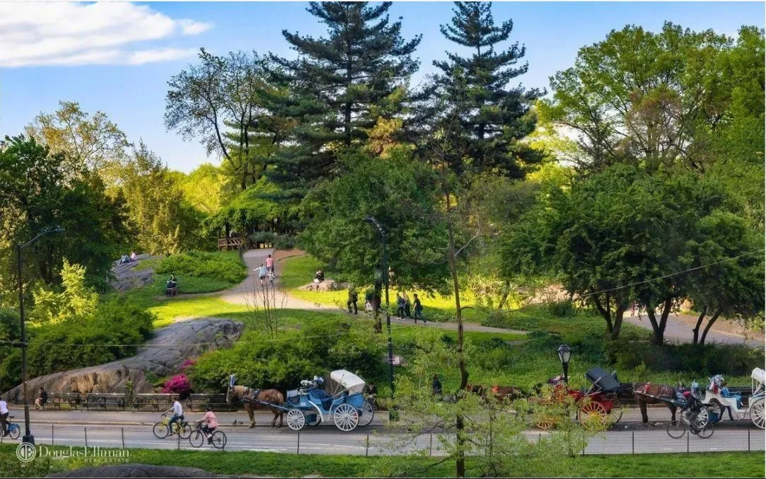 110 CENTRAL PARK S, New York, New York, United States. - Photo 8