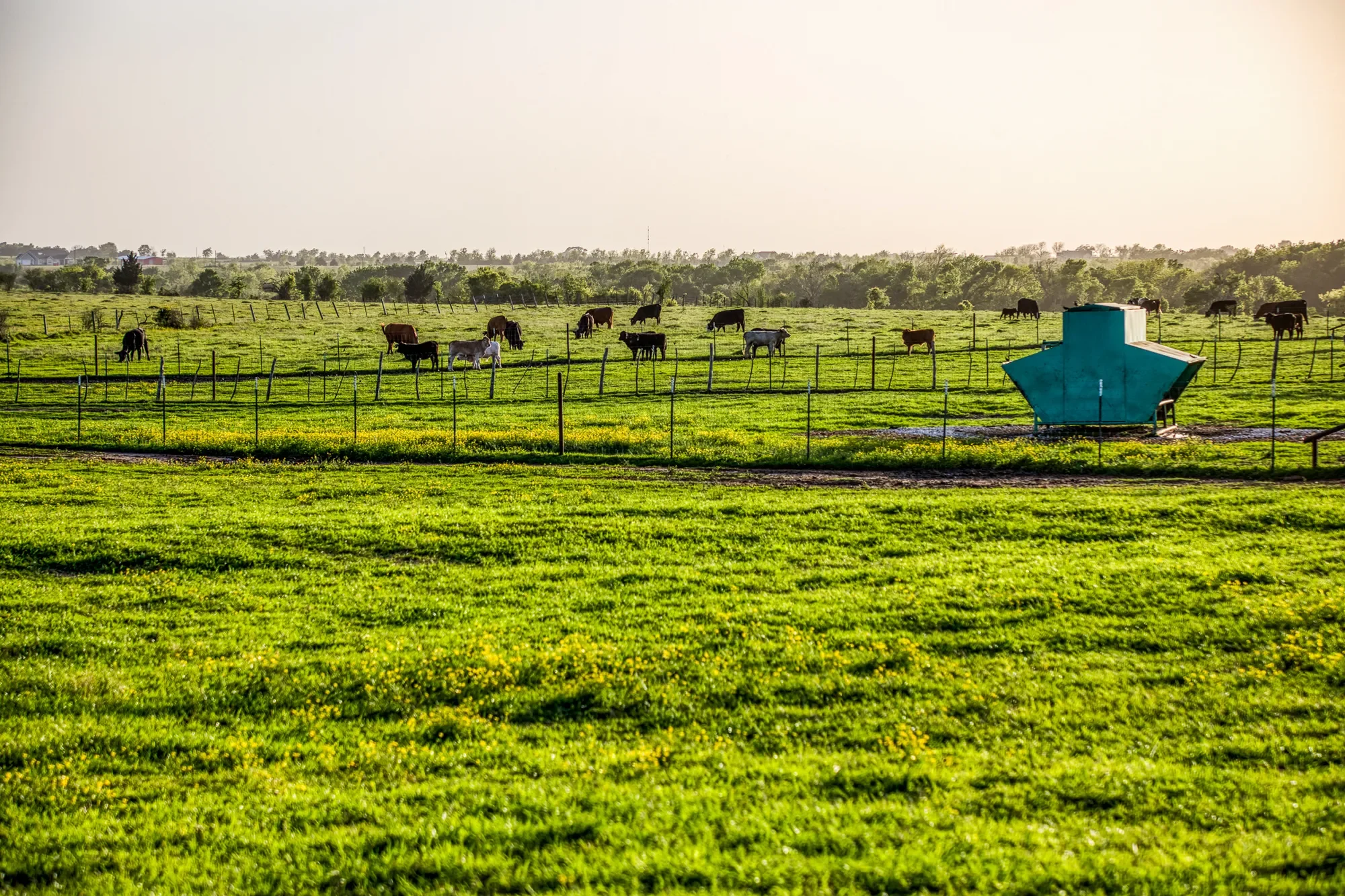 20751 Fm 1155 E , Washington, TX 77880, Washington, Texas, United States. - Photo 40