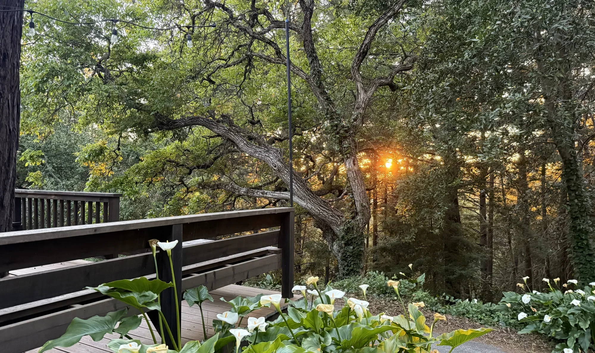 50 Ocean View Road , Los Gatos, CA 95033, Los Gatos, California, United States. - Photo 2