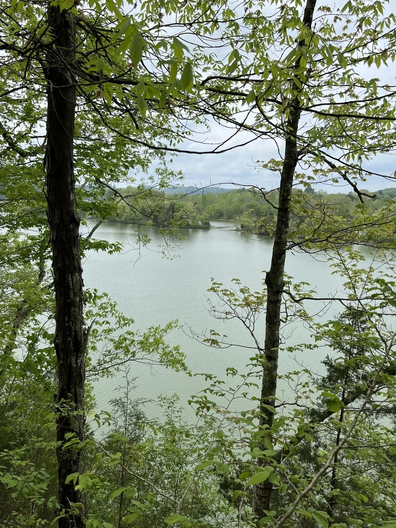 0 Huff Hollow Rd , Granville, TN 38564, Granville, Tennessee, United States. - Photo 26