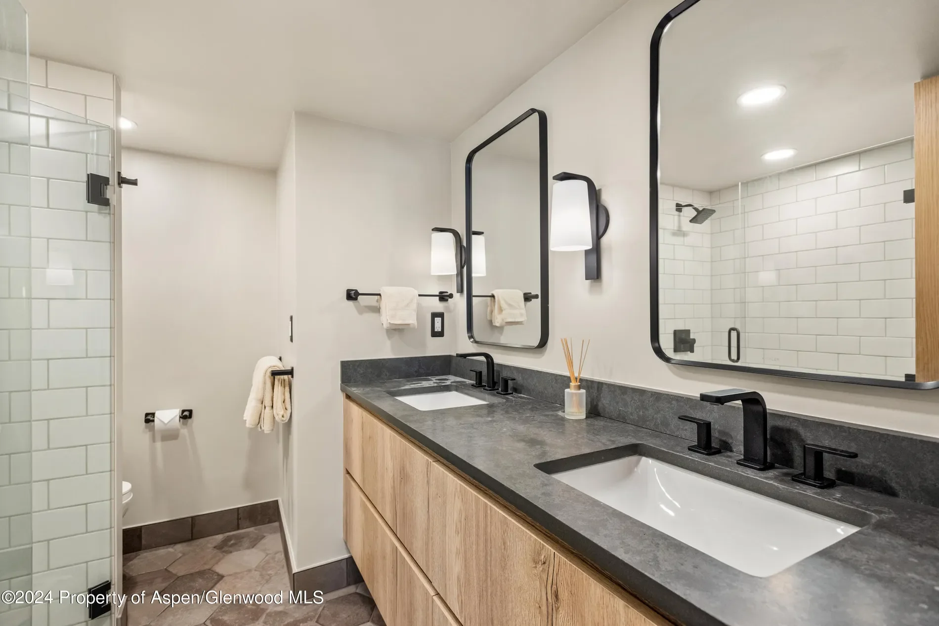 131 E Durant Avenue, Aspen, Colorado, United States. - Photo 8