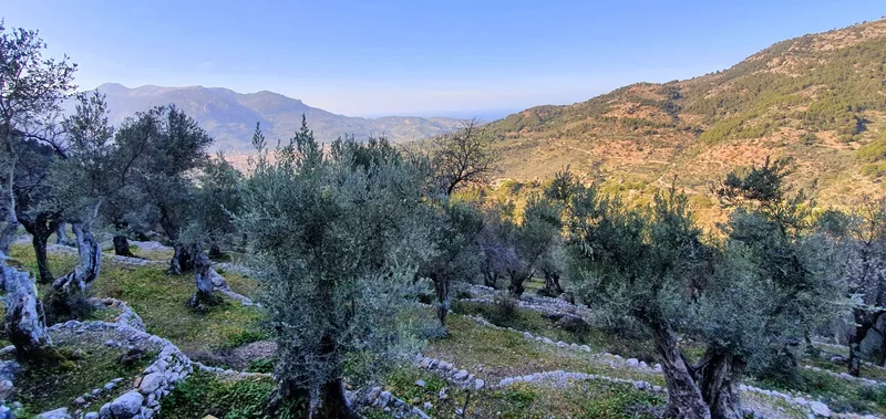07109 Fornalutx, Balearic Islands, Spain, Fornalutx, Balearic Islands, Spain. - Photo 26
