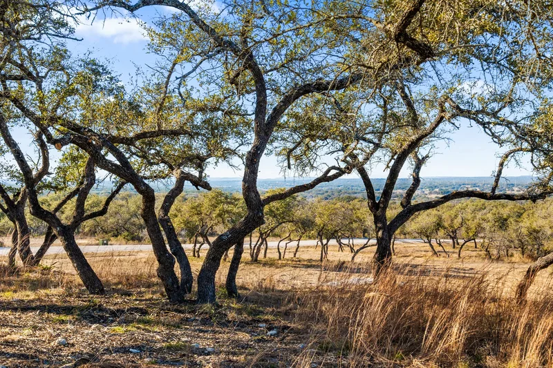 Lot 6 Redbud Ranch , Johnson City, TX 78636, Johnson City, Texas, United States. - Photo 13