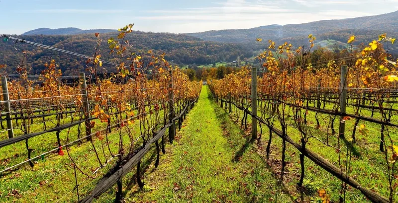 PRICE REDUCTION! Exceptional, Well-Established Winery and Events Property (near Washington, D.C.)