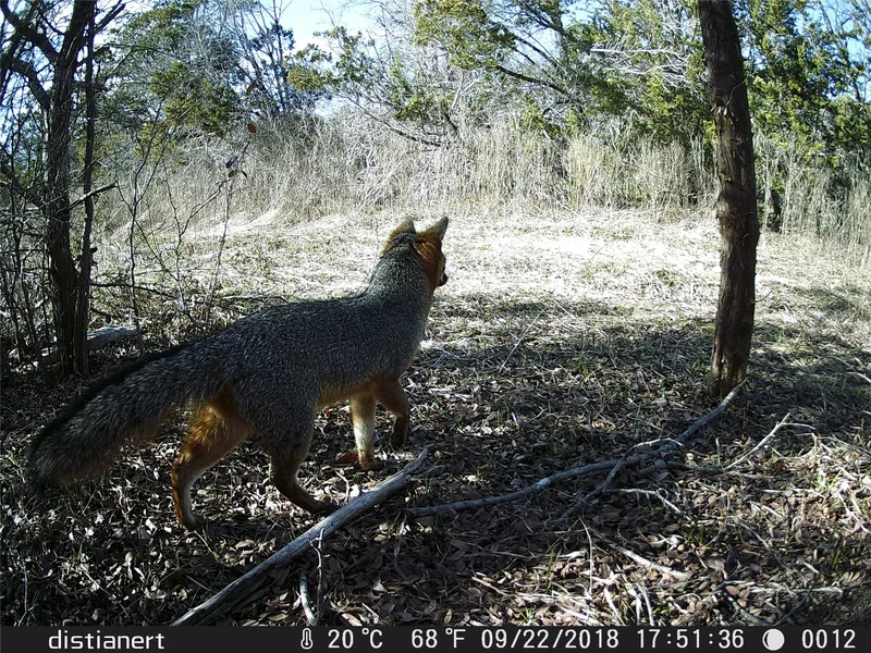 2516 County Road 328, Glen Rose, TX 76043, Glen Rose, Texas, United States. - Photo 17