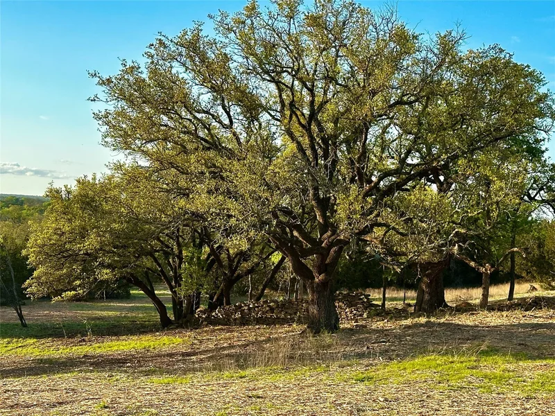 3575 Fm 932, Jonesboro, TX 76538, Jonesboro, Texas, United States. - Photo 25