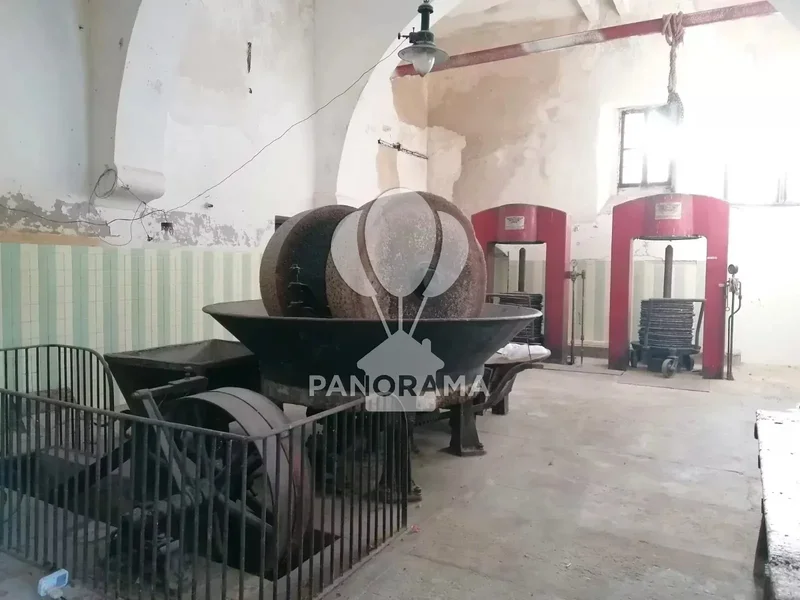 Contrada Fico, Alcamo, Sicily, Italy. - Photo 27