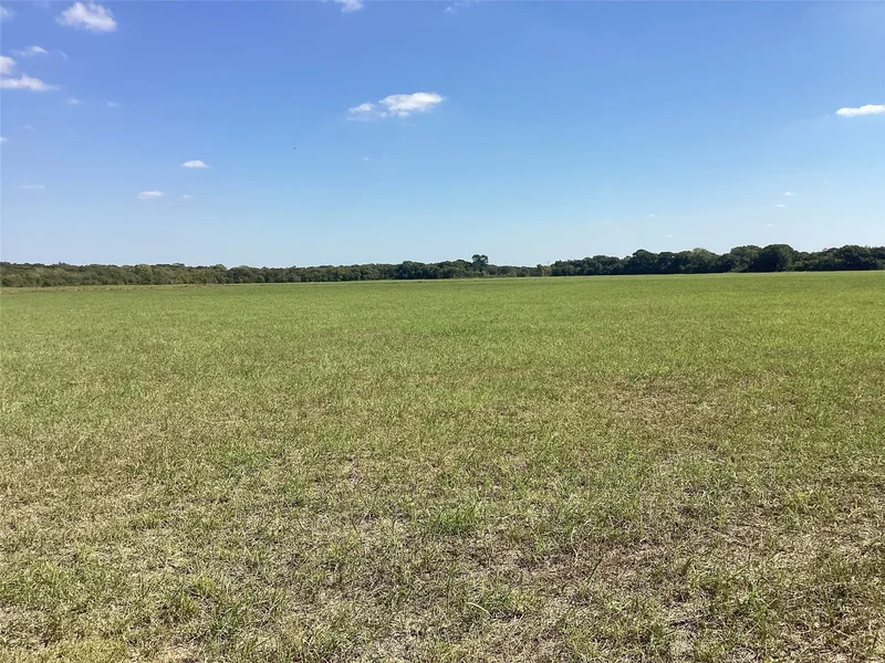 Tbd SW CR 3160, Dawson, TX 76639, Hubbard, Texas, United States. - Photo 36