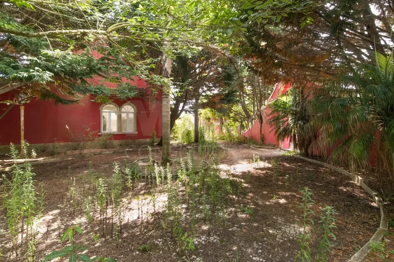 São João das Lampas, Lisbon, Portugal. - Photo 68