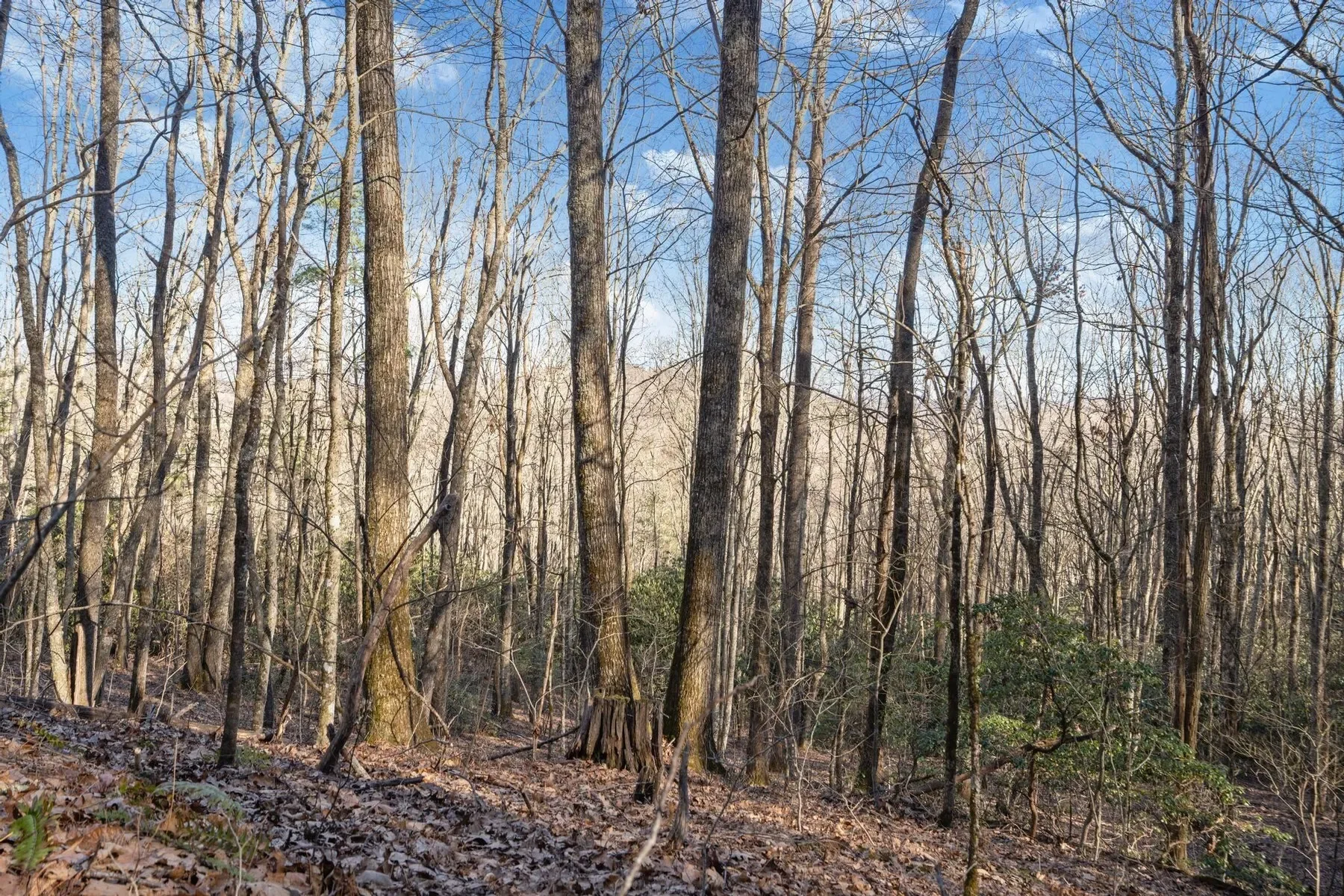 00 Off Zeb Buchanan Road, Cullowhee, NC 28723, Cullowhee, North Carolina, United States. - Photo 22