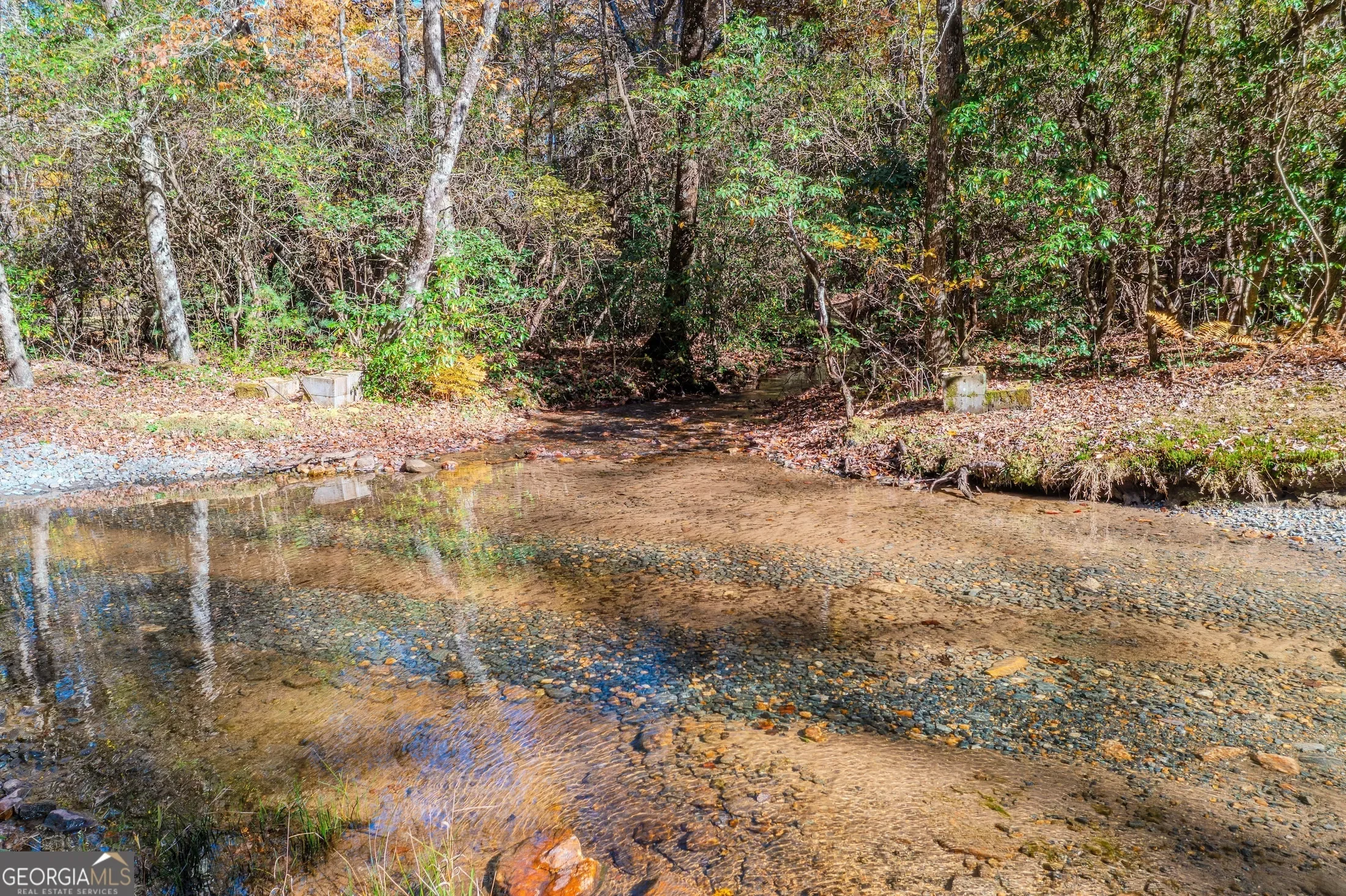 339 Wehunt RD, Blue Ridge, Georgia, United States. - Photo 63