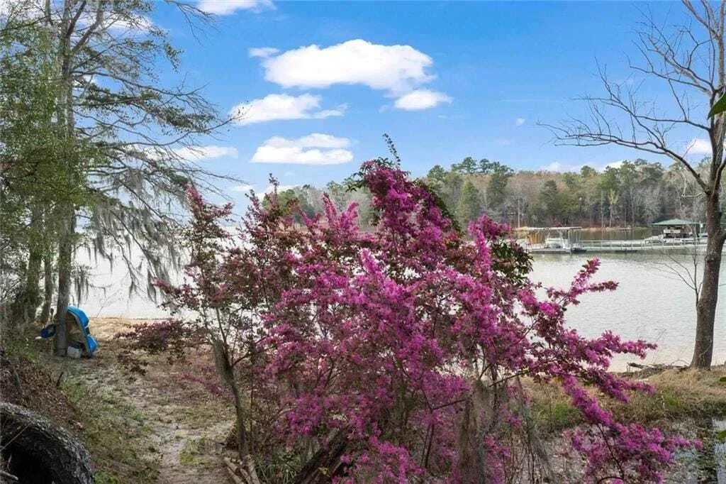 250 Moore Meadow Drive, Georgetown, Georgia, United States. - Photo 42