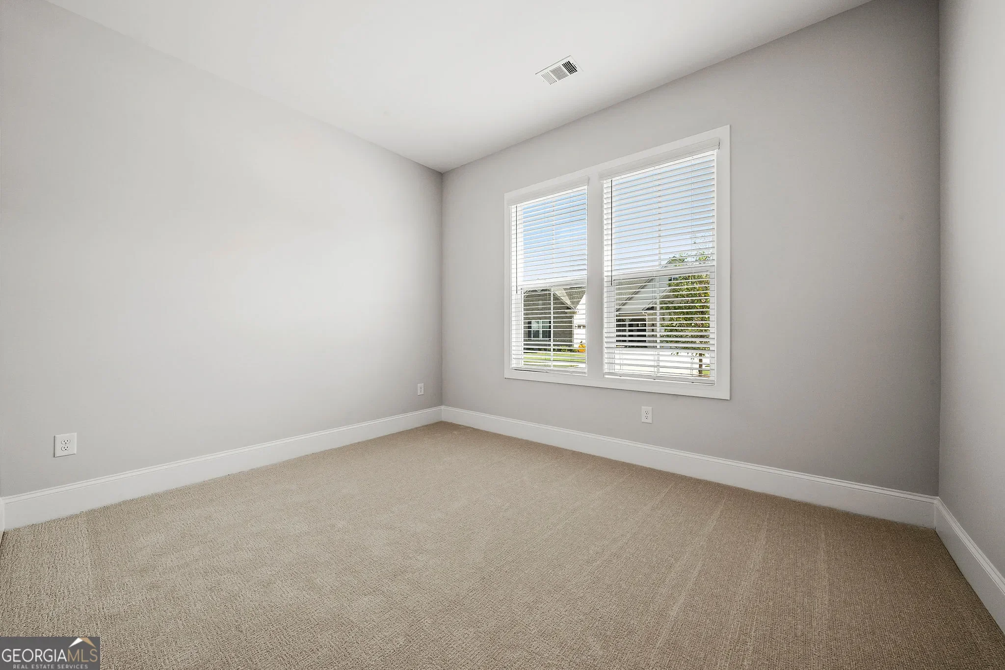 96 Ballyfin WAY, Newnan, Georgia, United States. - Photo 23