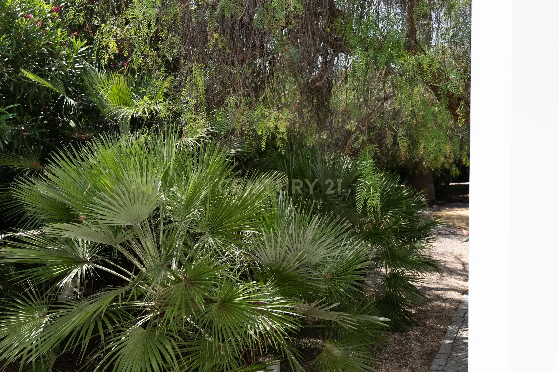 Exterior photo 11